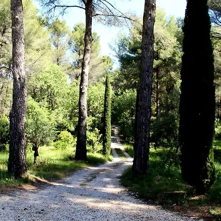 Apartament Des Oliviers *